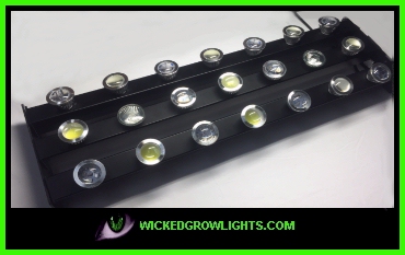 big bud led grow lights